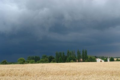 Seifenkisten_Rennen_2012_050