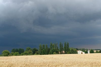 Seifenkisten_Rennen_2012_051