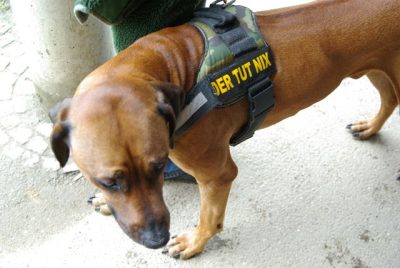 SG_2010__10