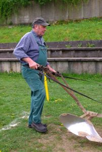 SG_2010__36