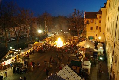 Tandaradey2008_104