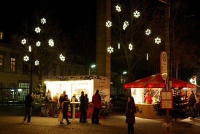 Tandaradey2008_127