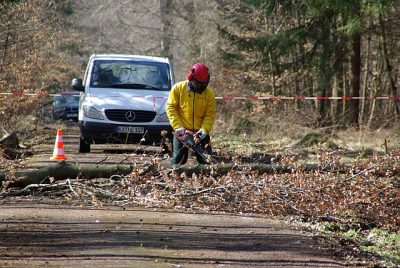 Motorsaegenfuehrerschein_029