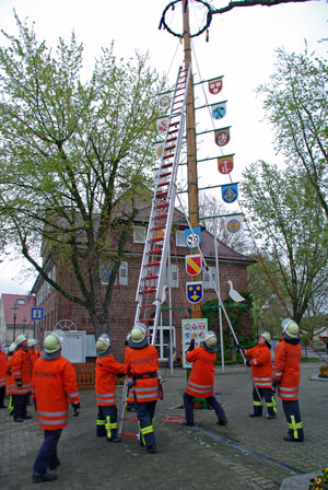 Der Maibaum 2008 wird von der Feuerwehr aufgestellt