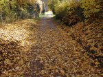 Stupferich – Zufallsbild