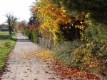 Stupferich – Zufallsbild