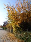 Stupferich – Zufallsbild