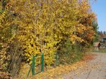 Stupferich – Zufallsbild