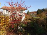 Stupferich – Zufallsbild
