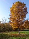 Stupferich – Zufallsbild