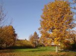 Stupferich – Zufallsbild