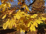 Stupferich – Zufallsbild