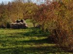 Stupferich – Zufallsbild