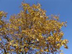 Stupferich – Zufallsbild