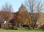 Stupferich – Zufallsbild