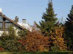 Stupferich – Zufallsbild