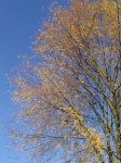 Stupferich – Zufallsbild