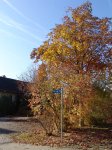 Stupferich – Zufallsbild