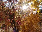 Stupferich – Zufallsbild
