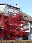 Stupferich – Zufallsbild