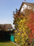 Stupferich – Zufallsbild