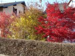 Stupferich – Zufallsbild