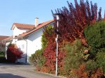 Stupferich – Zufallsbild