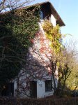 Stupferich – Zufallsbild