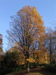 Stupferich – Zufallsbild