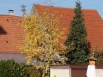 Stupferich – Zufallsbild