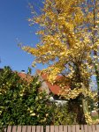Stupferich – Zufallsbild