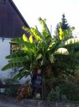 Stupferich – Zufallsbild