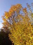 Stupferich – Zufallsbild