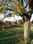 Stupferich – Zufallsbild