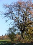 Stupferich – Zufallsbild