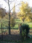 Stupferich – Zufallsbild