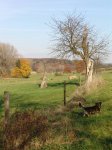 Stupferich – Zufallsbild