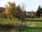 Stupferich – Zufallsbild
