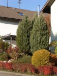 Stupferich – Zufallsbild