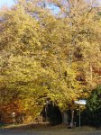 Stupferich – Zufallsbild