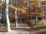 Stupferich – Zufallsbild