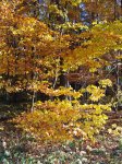 Stupferich – Zufallsbild