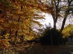 Stupferich – Zufallsbild