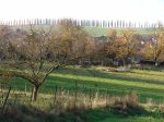 Stupferich – Zufallsbild