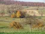 Stupferich – Zufallsbild