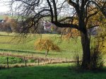 Stupferich – Zufallsbild