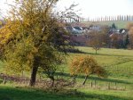 Stupferich – Zufallsbild