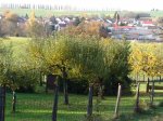Stupferich – Zufallsbild