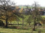 Stupferich – Zufallsbild