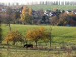 Stupferich – Zufallsbild